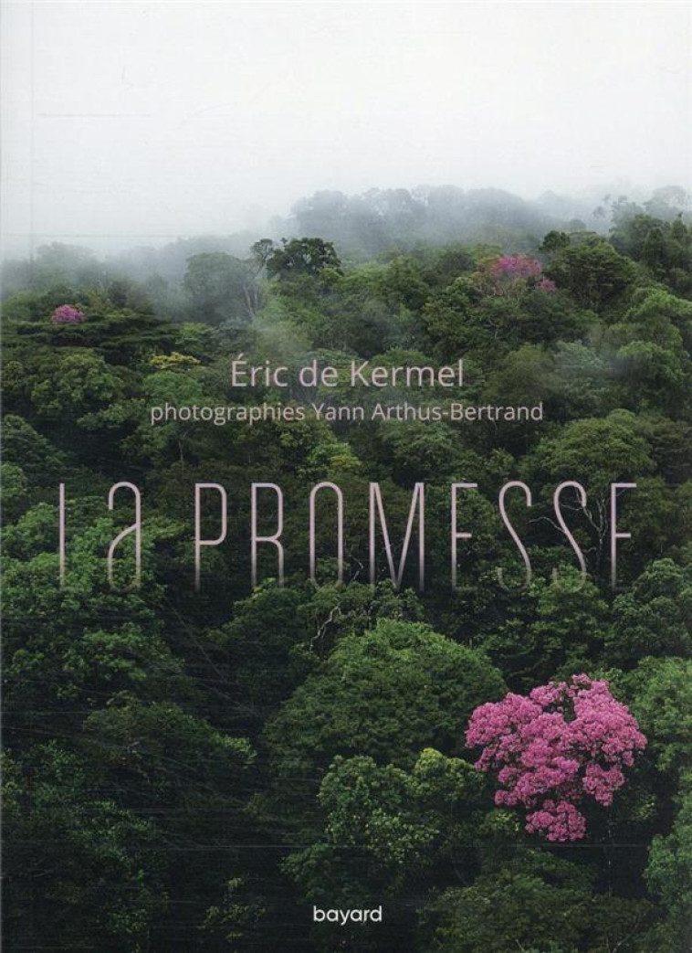 LA PROMESSE - DE KERMEL ERIC - BAYARD CULTURE