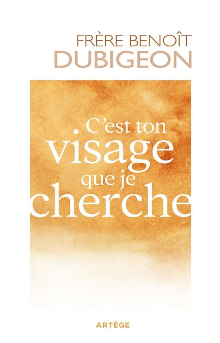 C'EST TON VISAGE QUE JE CHERCHE - DUBIGEON BENOIT - ARTEGE