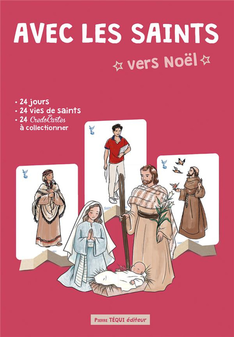 NOEL A COLLECTIONNER - EDITION ILLUSTREE - HAUMONTE/LARROQUE - TEQUI