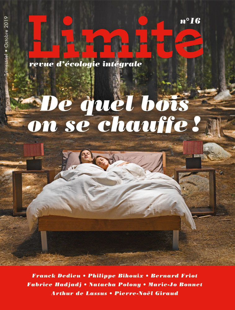 De quel bois on se chauffe ! Revue Limite no 16 - Comité de rédaction Limite  - PREMIERE PARTIE