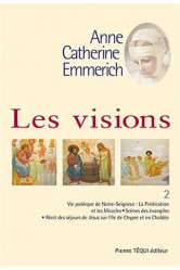 Les visions - tome 2