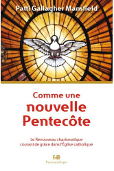 Comme une nouvelle pentecôte - le renouveau charismatique courant de grâce dans l'église catholique