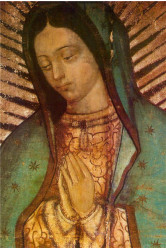 Image notre dame de guadalupe