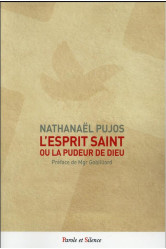 L'esprit saint, ou la pudeur de dieu