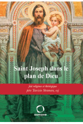 Saint joseph dans le plan de dieu